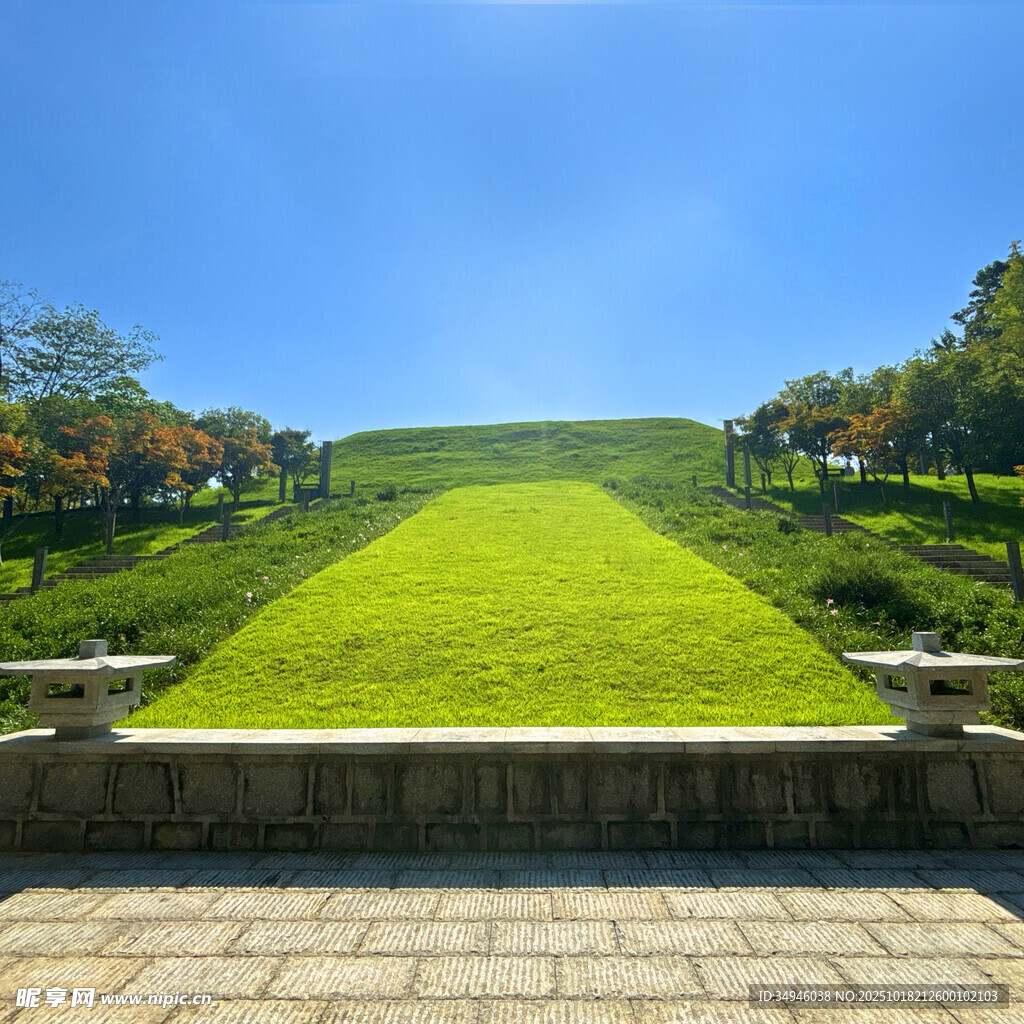 绿意盎然的斜坡景观