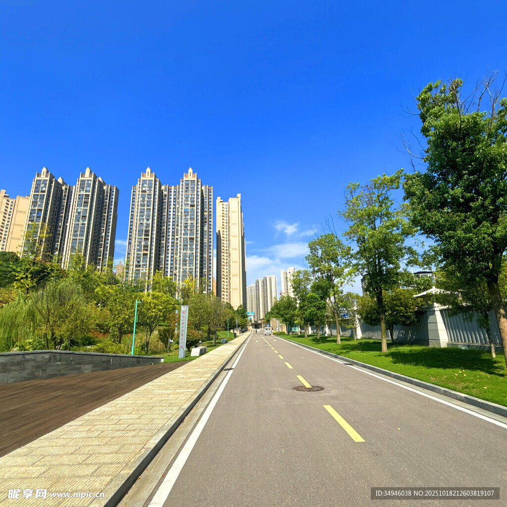 城市道路旁的高楼与绿树