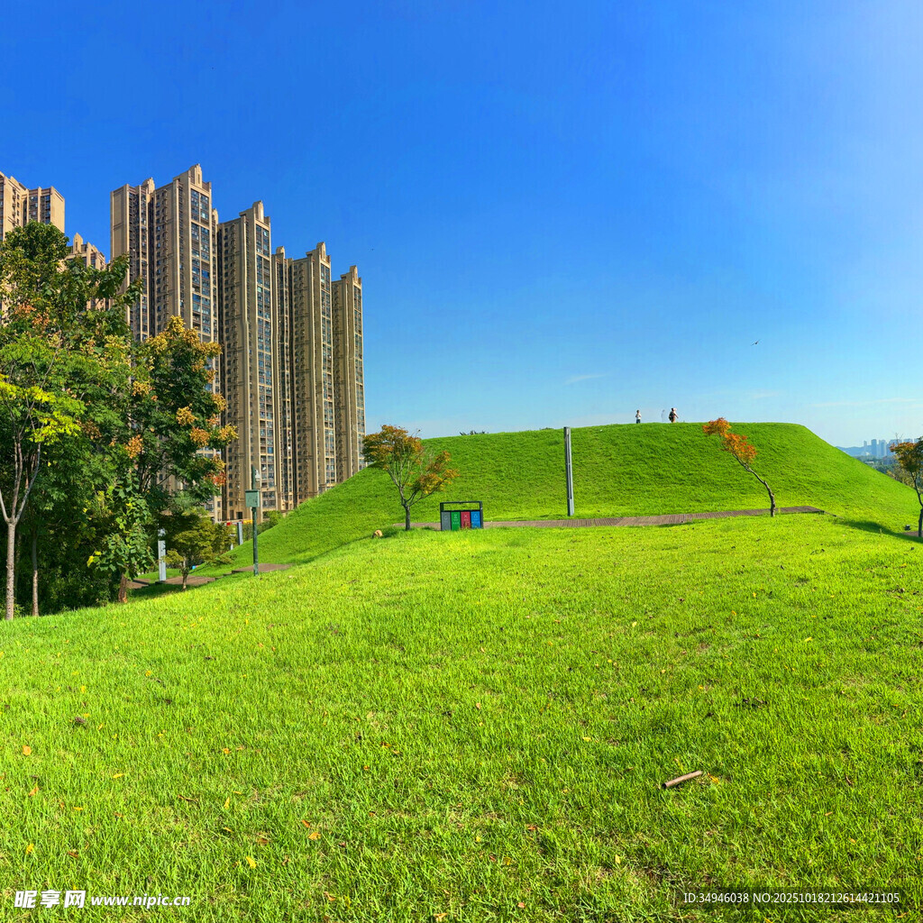 城市旁的翠绿草坪景观