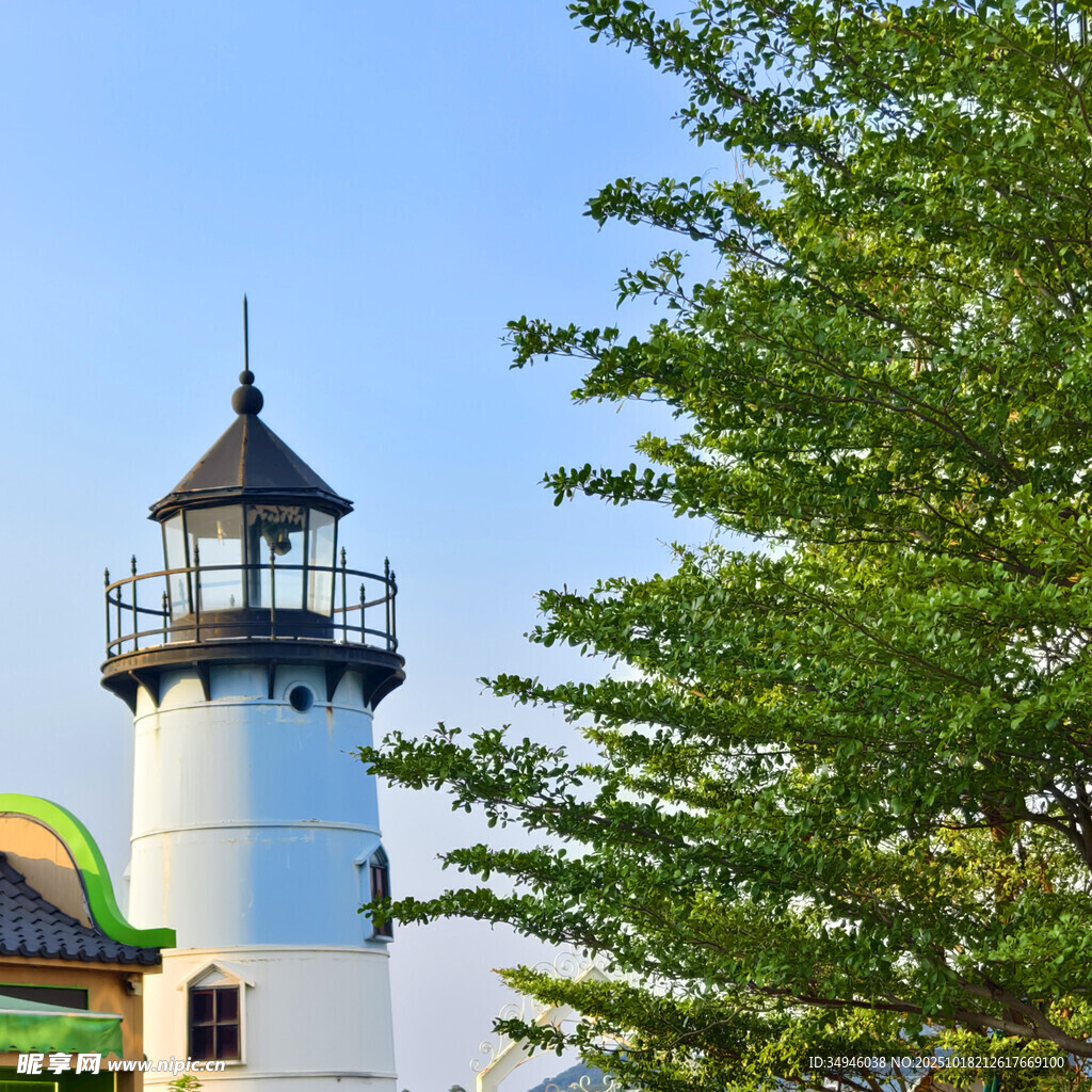 绿树旁的白色灯塔