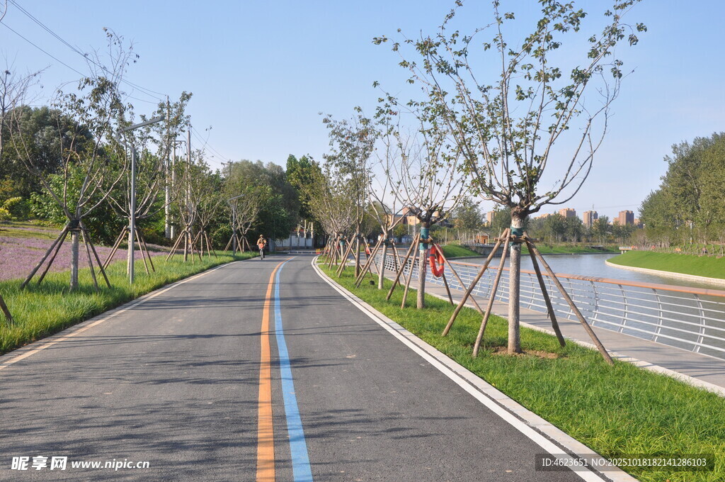 城市中的多彩林荫骑行道