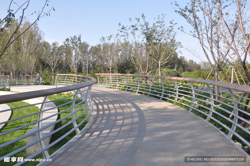 北京坝河公园中的蜿蜒步道