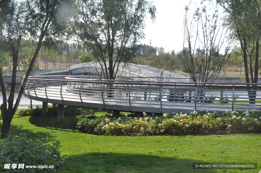 现代园林景观设计一角