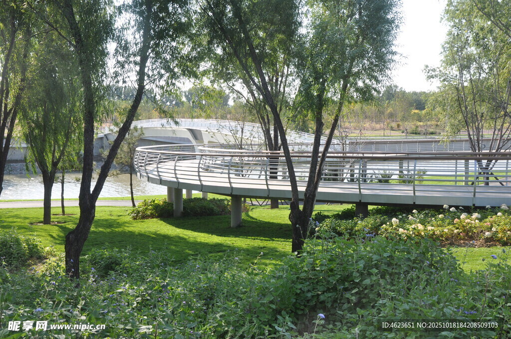 湖畔木栈道旁的绿意景致