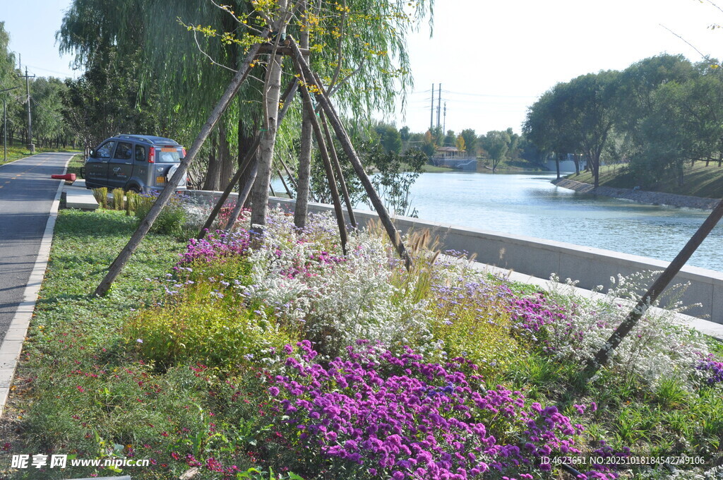 北京朝阳坝河河畔多彩花卉景观