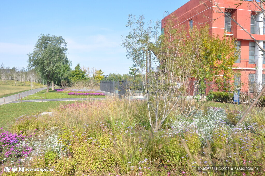 红砖建筑旁的多彩花草景观