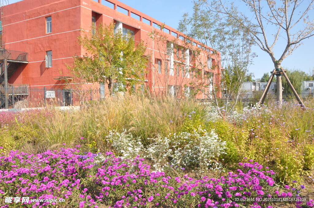 红砖建筑前的缤纷花卉景观