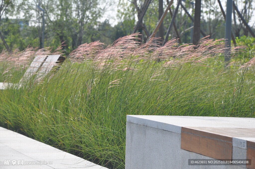 城市中的清新绿植景观