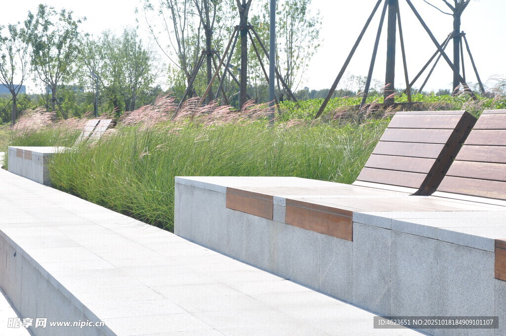 户外休闲景观座椅与绿植