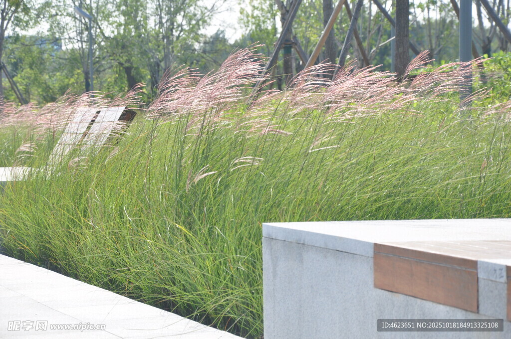 户外绿植景观与休憩设施