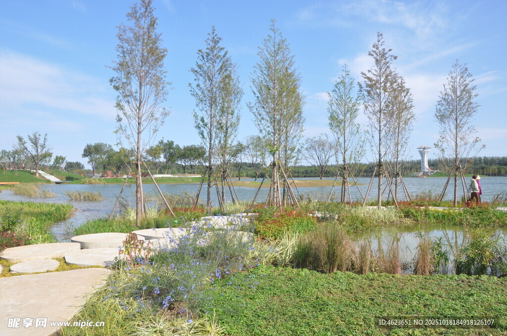 北京朝阳坝河景观湖畔绿树成荫