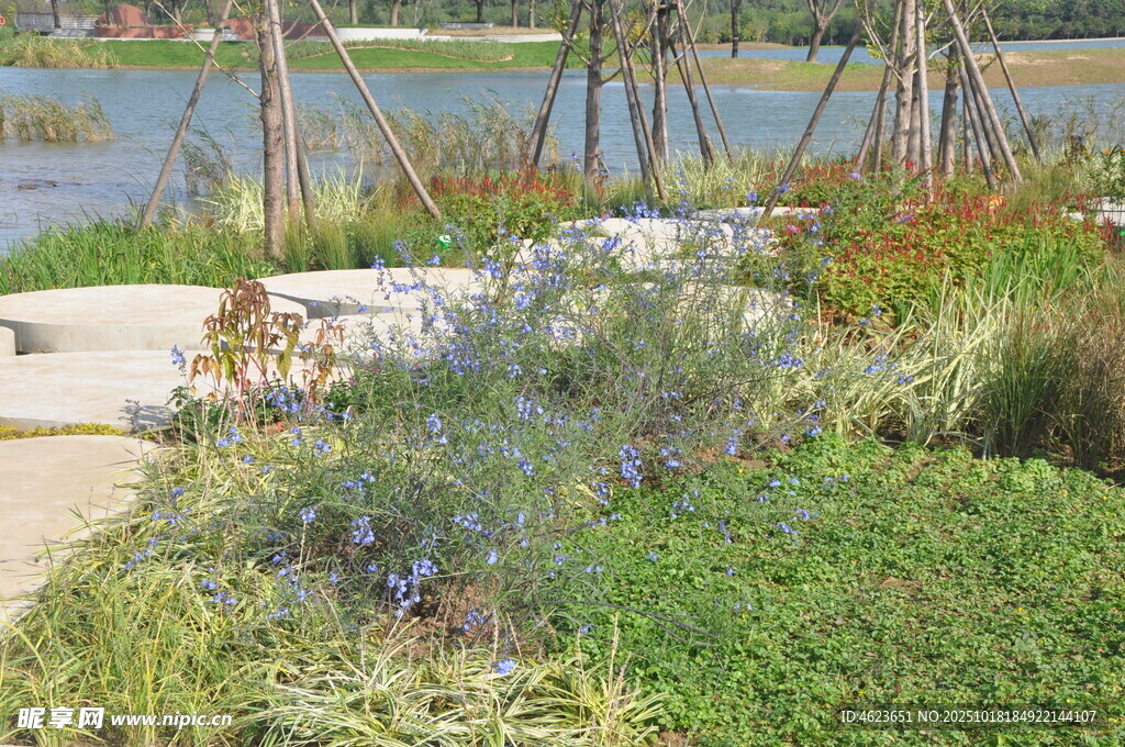 北京朝阳坝河景观湖畔花园景观