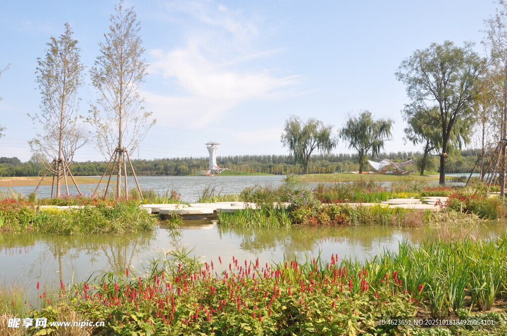 北京朝阳坝河景观湖畔湿地风光