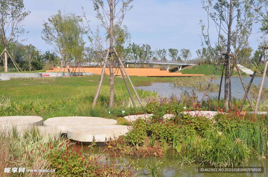 北京朝阳坝河景观湖畔自然景致
