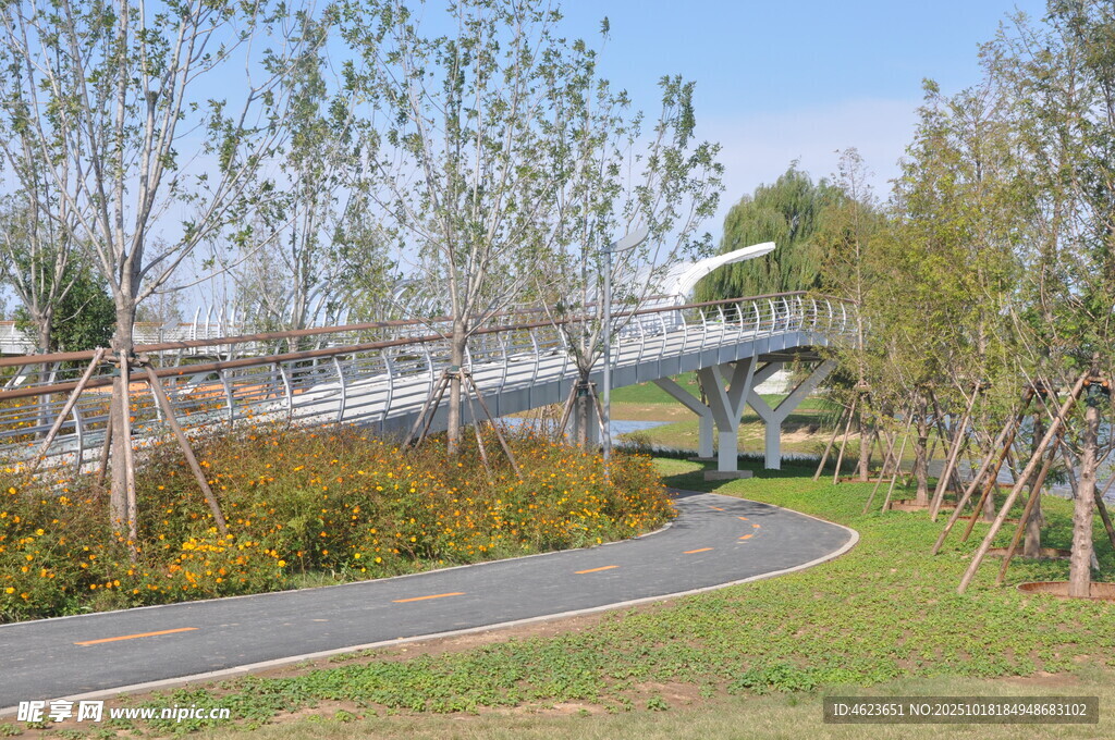 现代景观桥旁的休闲步道