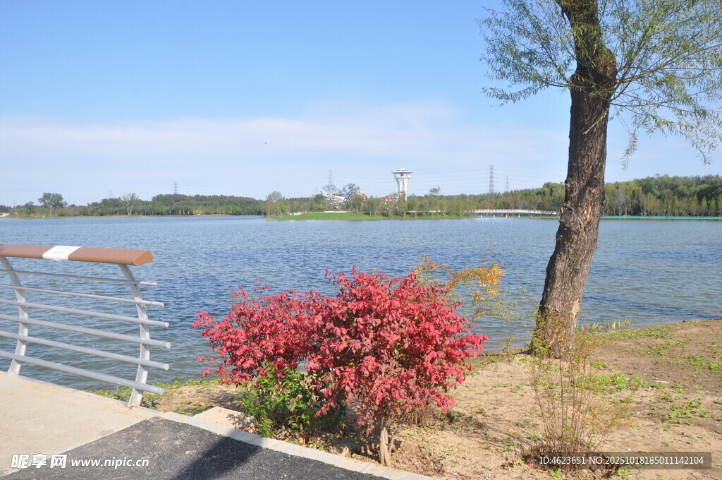 北京朝阳坝河景观湖畔美景