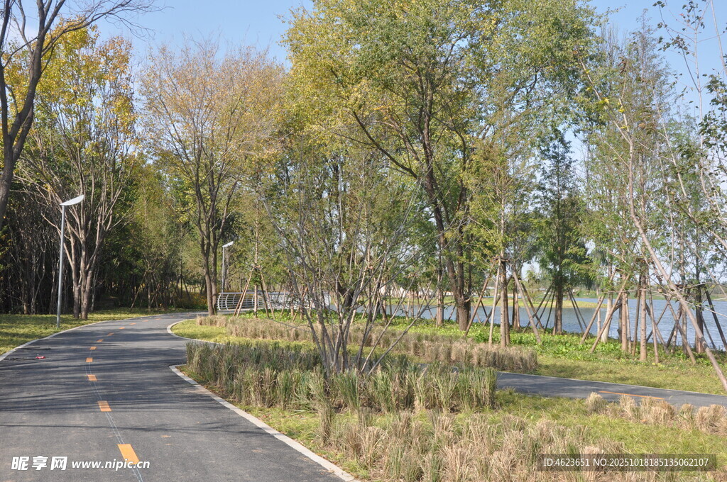 林间公路秋日自然风光