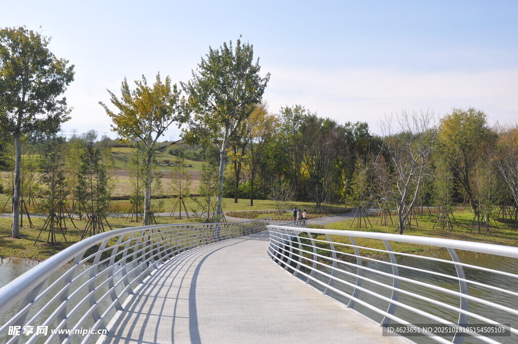 河畔金属桥旁的秋日小径