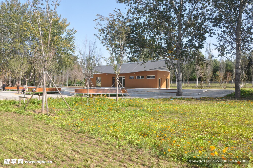 乡村草地旁的红顶小屋