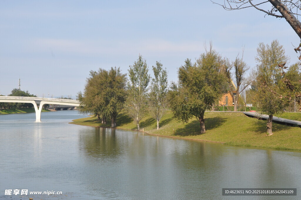 北京朝阳坝河景观树木景观