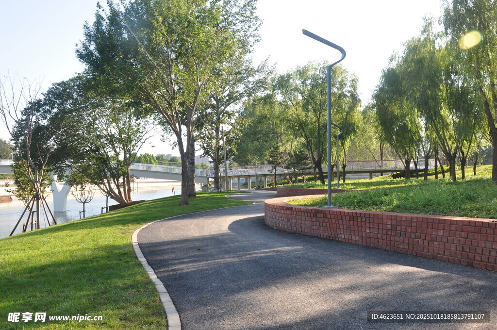 公园中的宁静小路与绿植