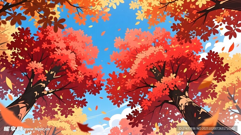 秋日绚烂枫叶美景