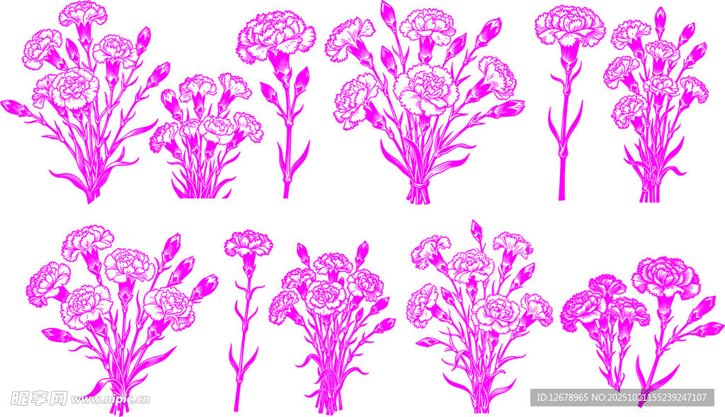 粉色康乃馨花卉植物图案集合