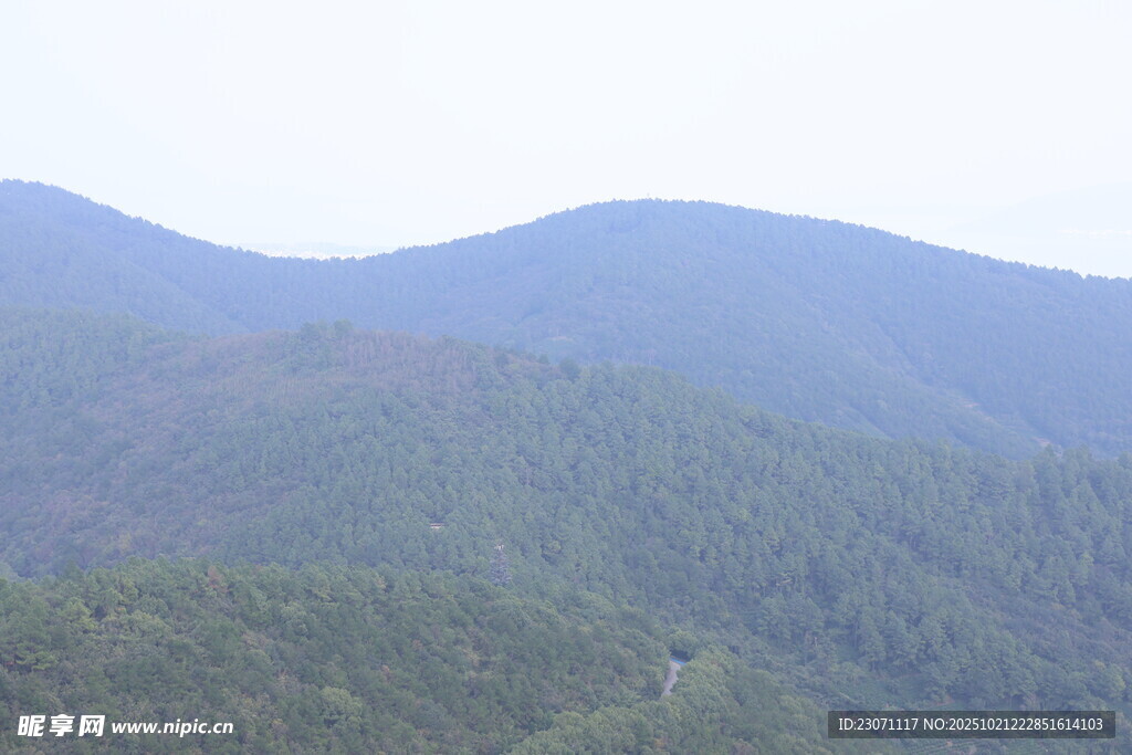 山