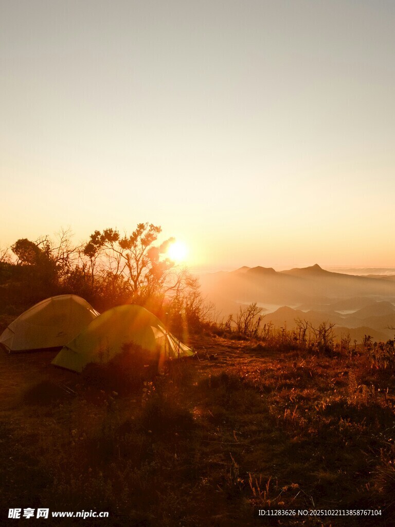日出下的野外露营场景