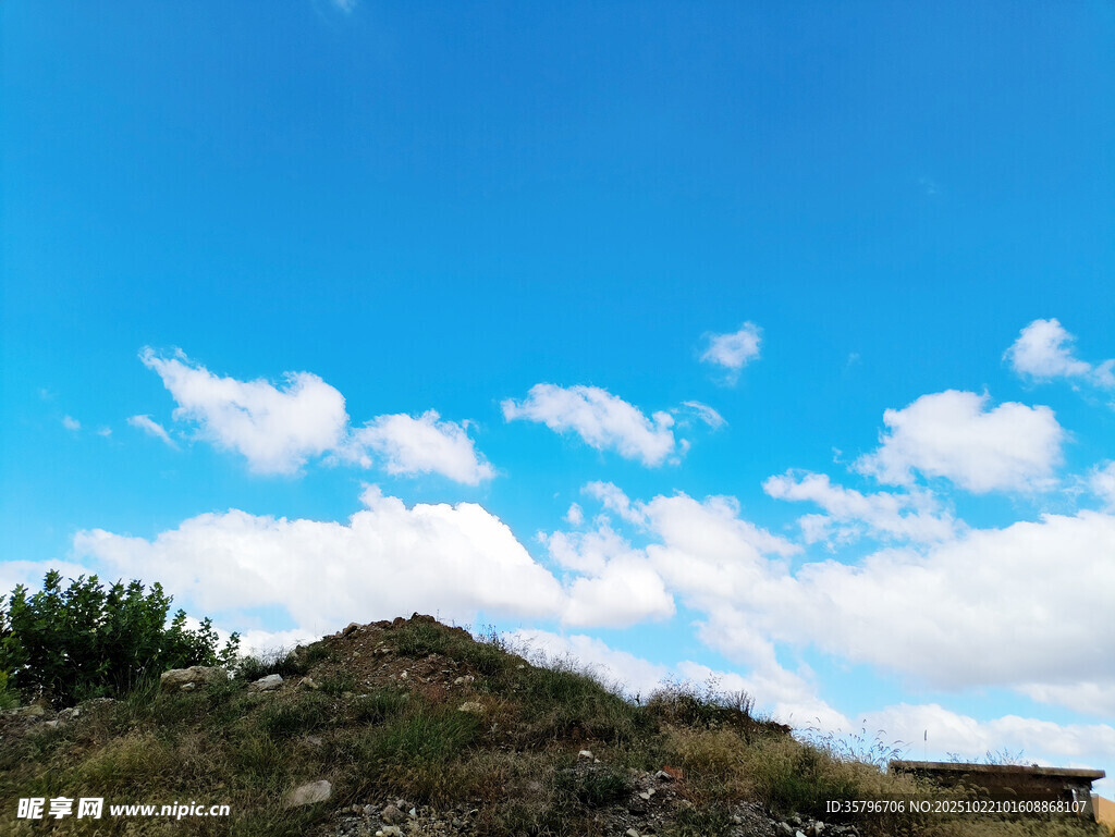蓝天绿草间的悠然景致
