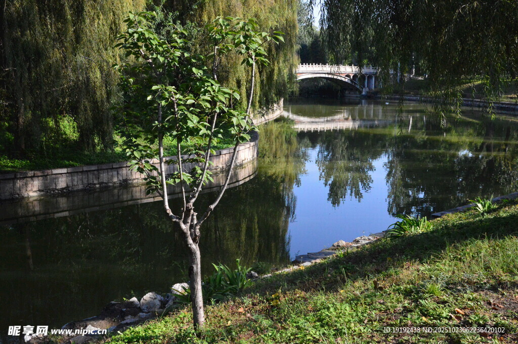 公园风景  