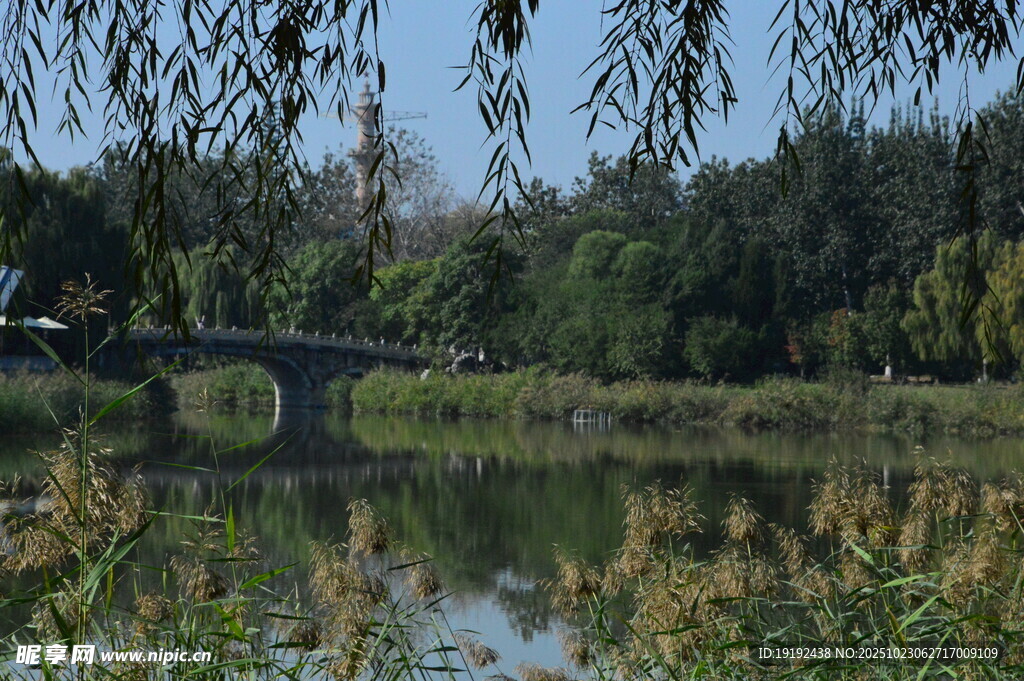 公园风景  