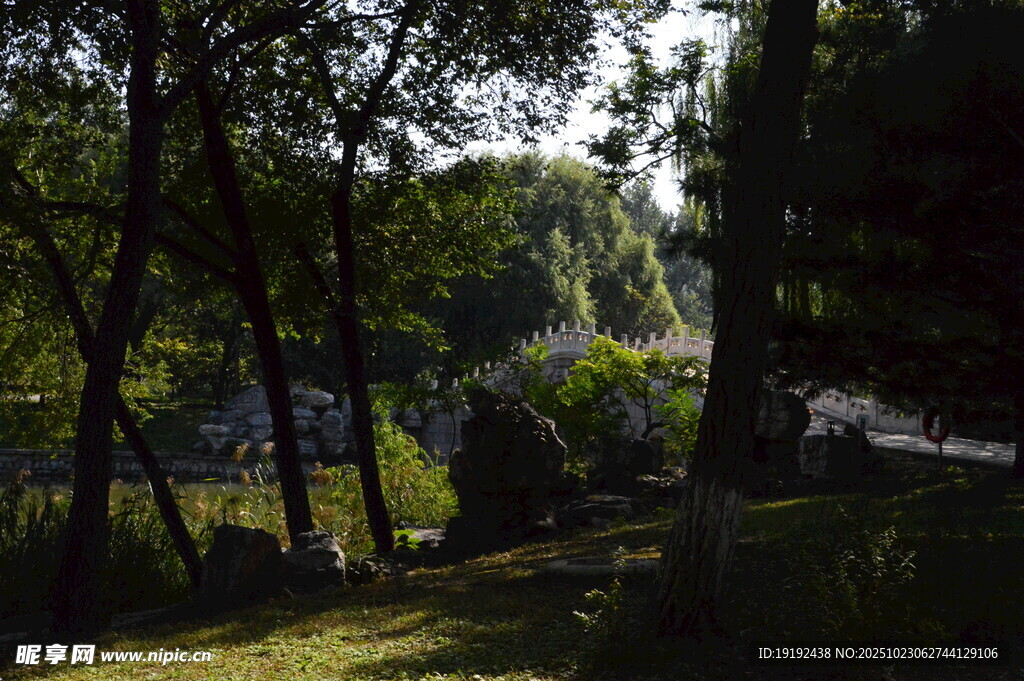 公园风景 