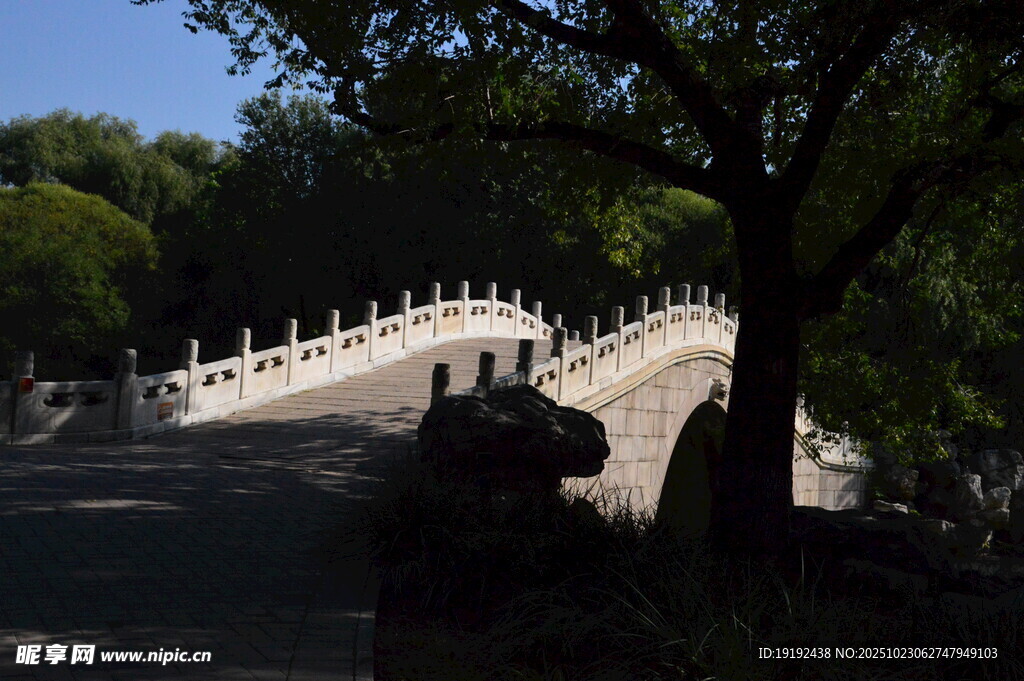 公园风景 