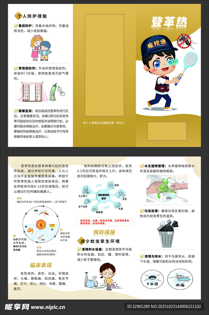 登革热三折页
