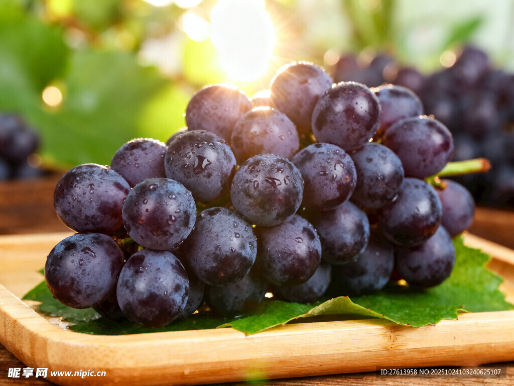 阳光下的紫葡萄