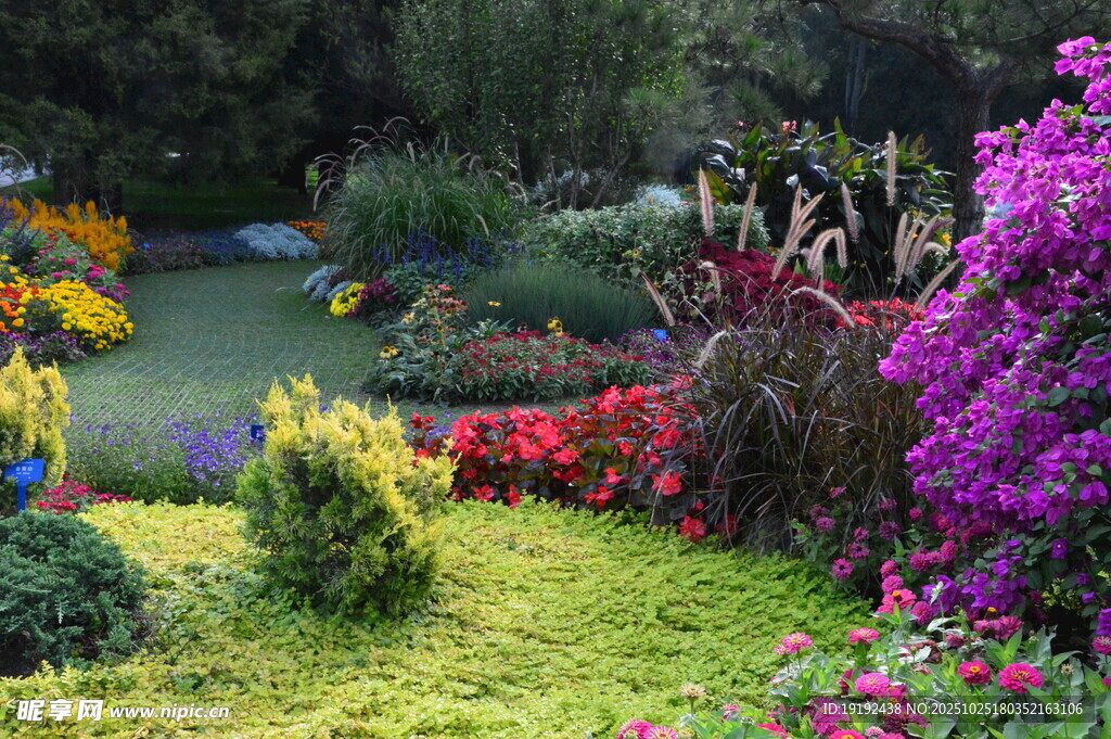 天坛花境风景  