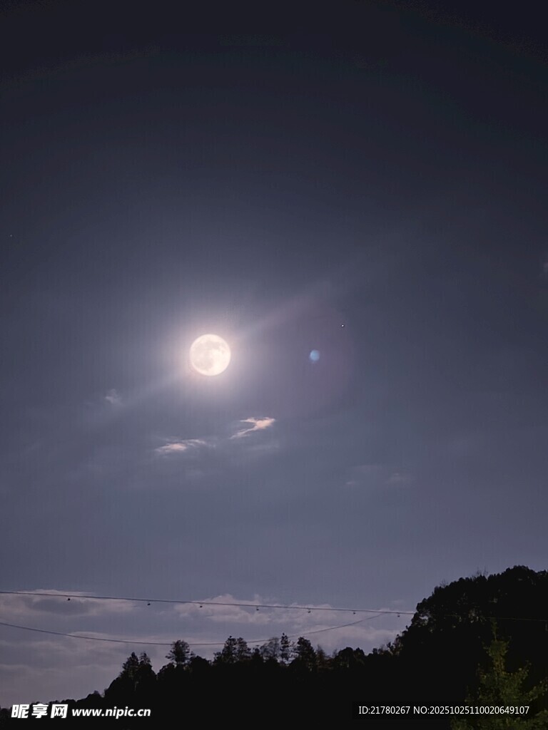 月夜下的树林与明亮月光