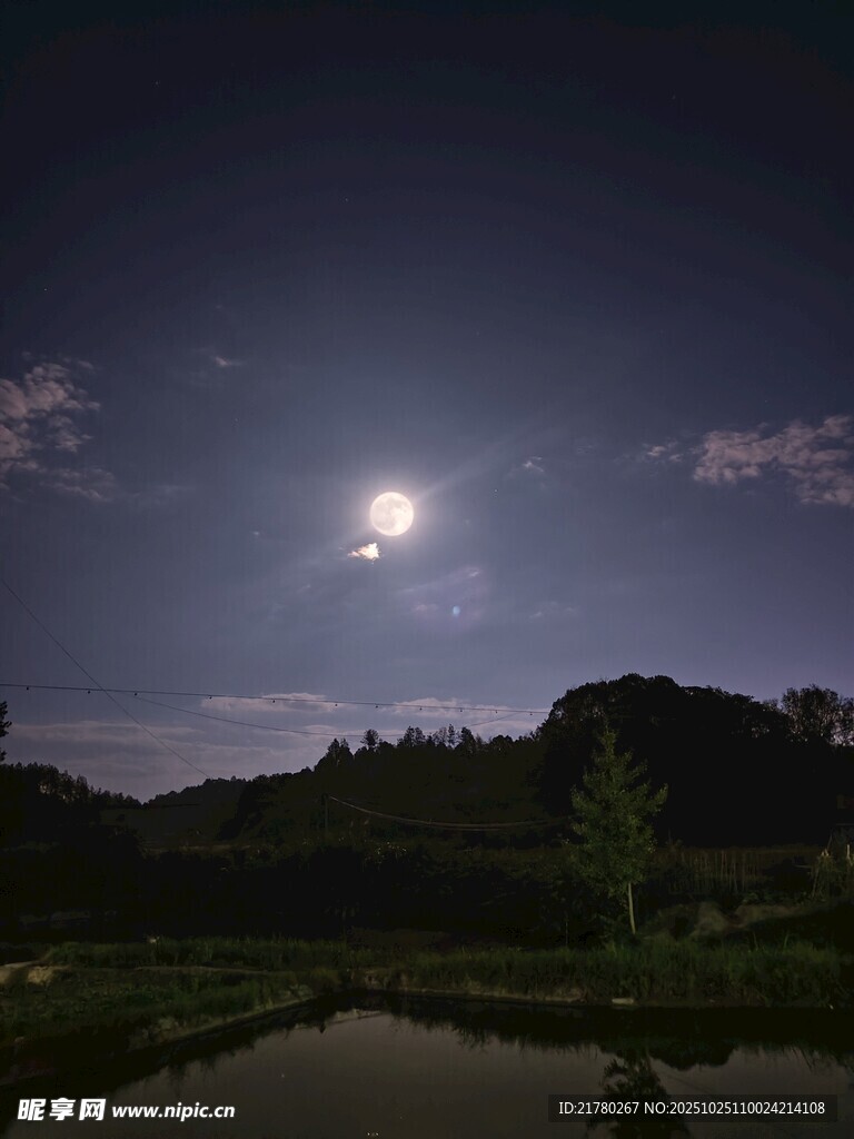 月夜山林