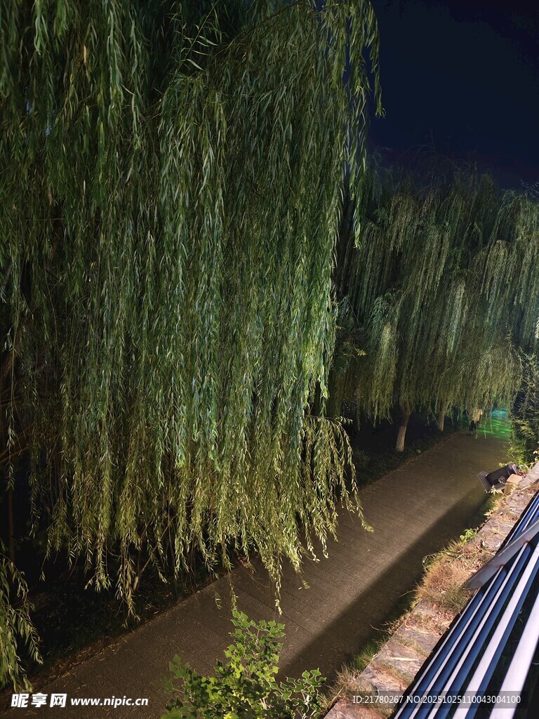 夜下垂柳伴铁轨
