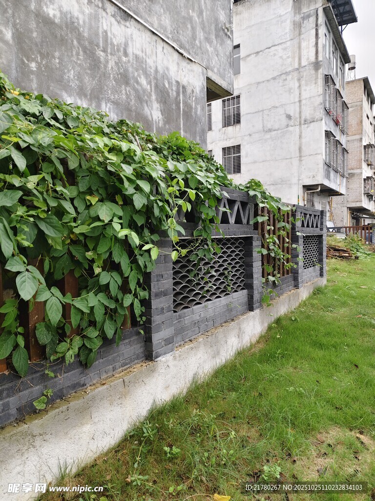 墙边绿植围栏