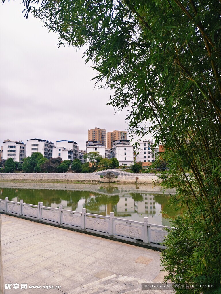 河畔绿植旁的城市建筑景观