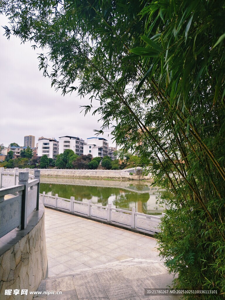 河畔小径 绿植环绕
