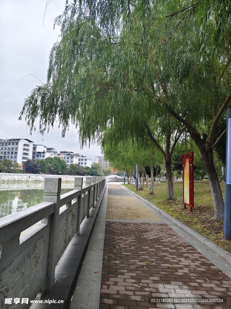 河畔林荫步道
