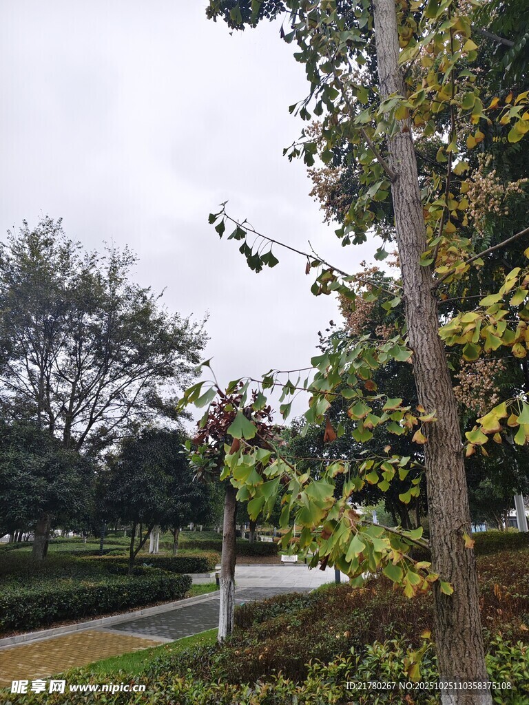 秋日公园