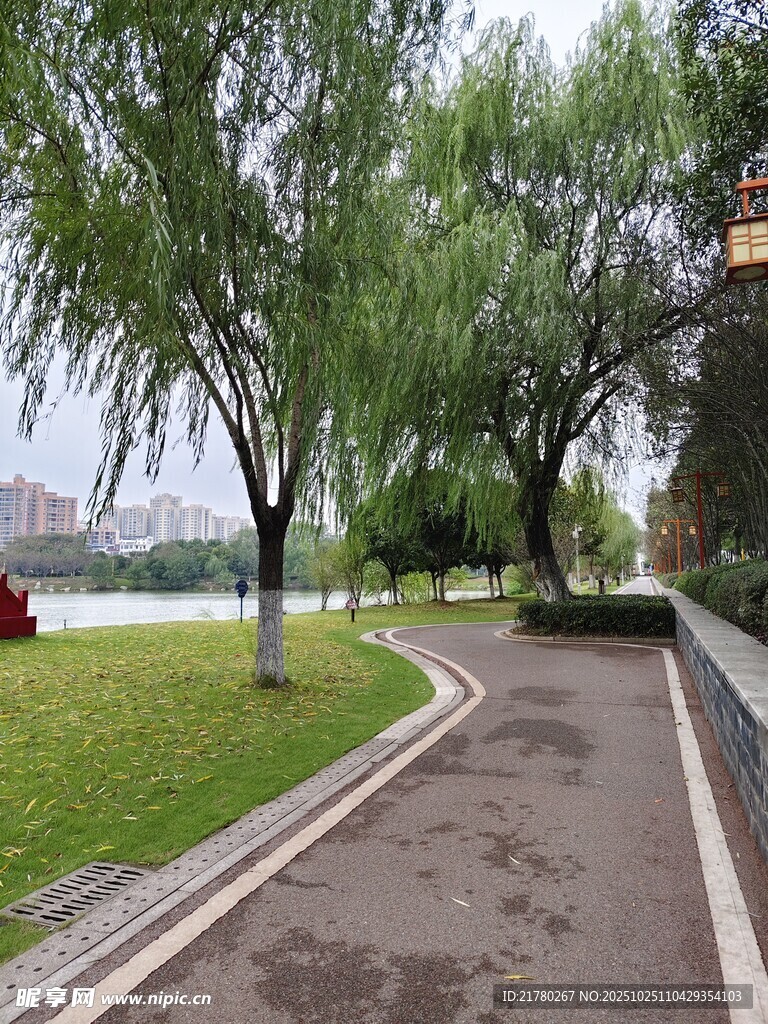 湖畔林荫小道