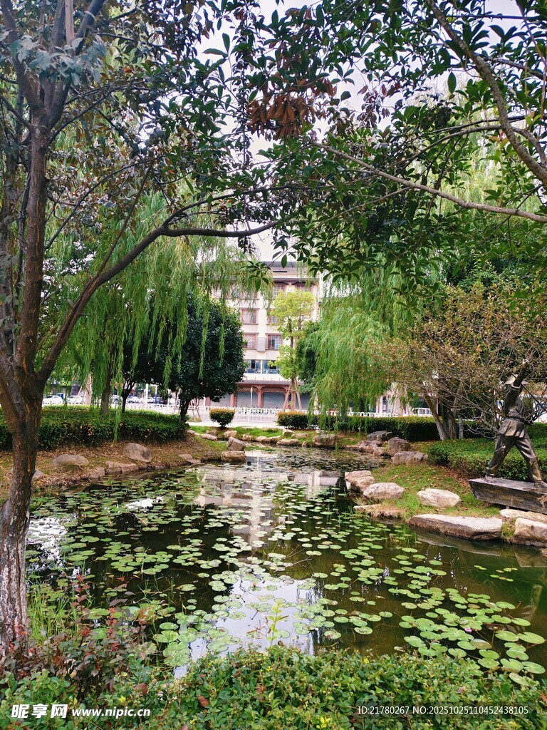 园林池塘景致