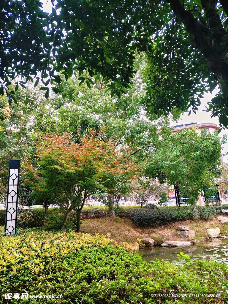 园林景致
