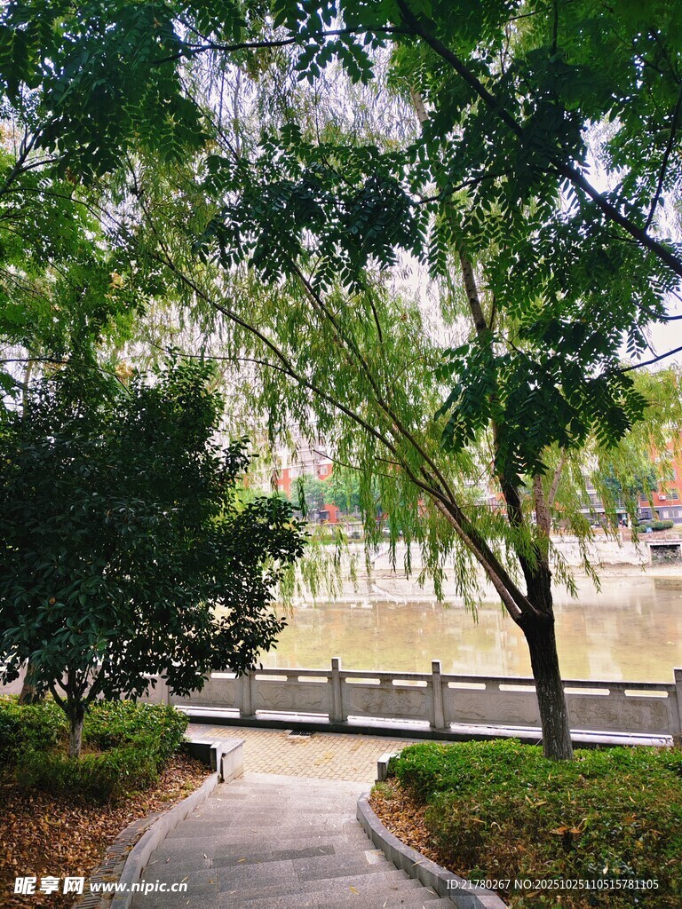公园林荫小道景观