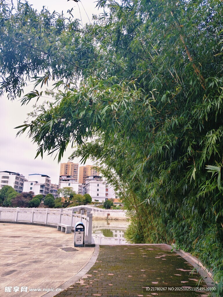 河边绿树环绕的休闲小径